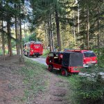 2024-06-28_waldbranduebung_007