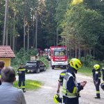 2024-06-28_waldbranduebung_010