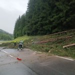 2024-07-12_t-einsatz_009