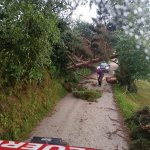 2024-07-12_t-einsatz_010