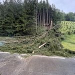 2024-07-12_t-einsatz_021