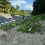 Baumbergung am 25.08.2024