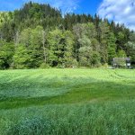 2025-05-16_traktorbergung_008