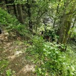 2025-05-16_traktorbergung_013