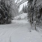 2026-02-20_schneeeinsaetze_012