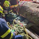 2026-03-20_uebung_043