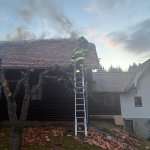 2026-03-28_brand-019