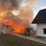 2026-03-28_brand-020