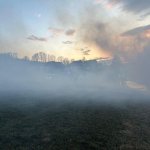 2026-03-28_brand-064