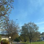 2026-04-26-28_khd_106