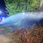 Böschungsbrand Waisenegg am 30.04.2026