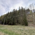 2026-05-05_brand_026