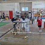 2026-07-24_kindersommer002