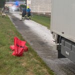 2026-08-31-oel_012